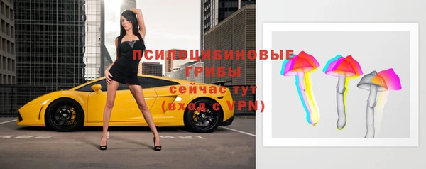 стаф Киреевск