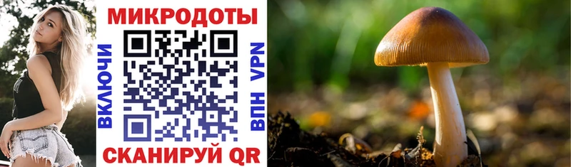 Галлюциногенные грибы MAGIC MUSHROOMS  Купить закладки  Асбест 